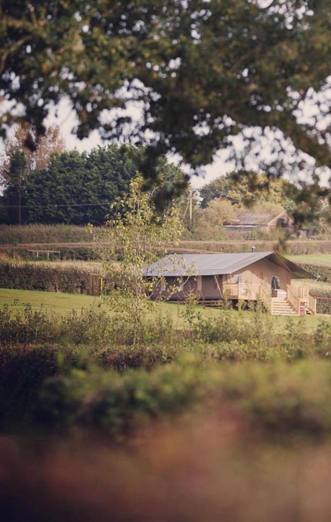 Midleydown Luxury Glamping Hotel Exeter Luaran gambar